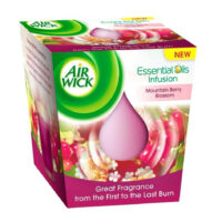 3.5 Oz{105g}  Air Wick Air Freshener Candle - Mountain 6/cs