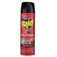 17.5oz. Raid-Ant & Roach Killer-Outdoor Fresh 12/cs***21613